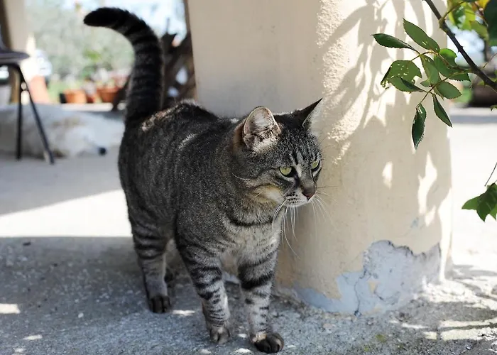 Bed & Breakfast Le Tre Querce *